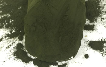 Chlorella sp powder 25kg